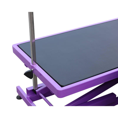 Aeolus Magna X Electric Lifting Pet Grooming Table