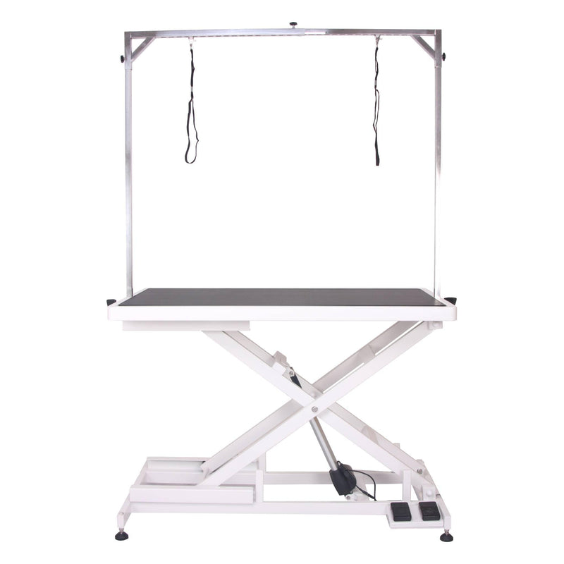 Aeolus Magna X Electric Lifting Pet Grooming Table