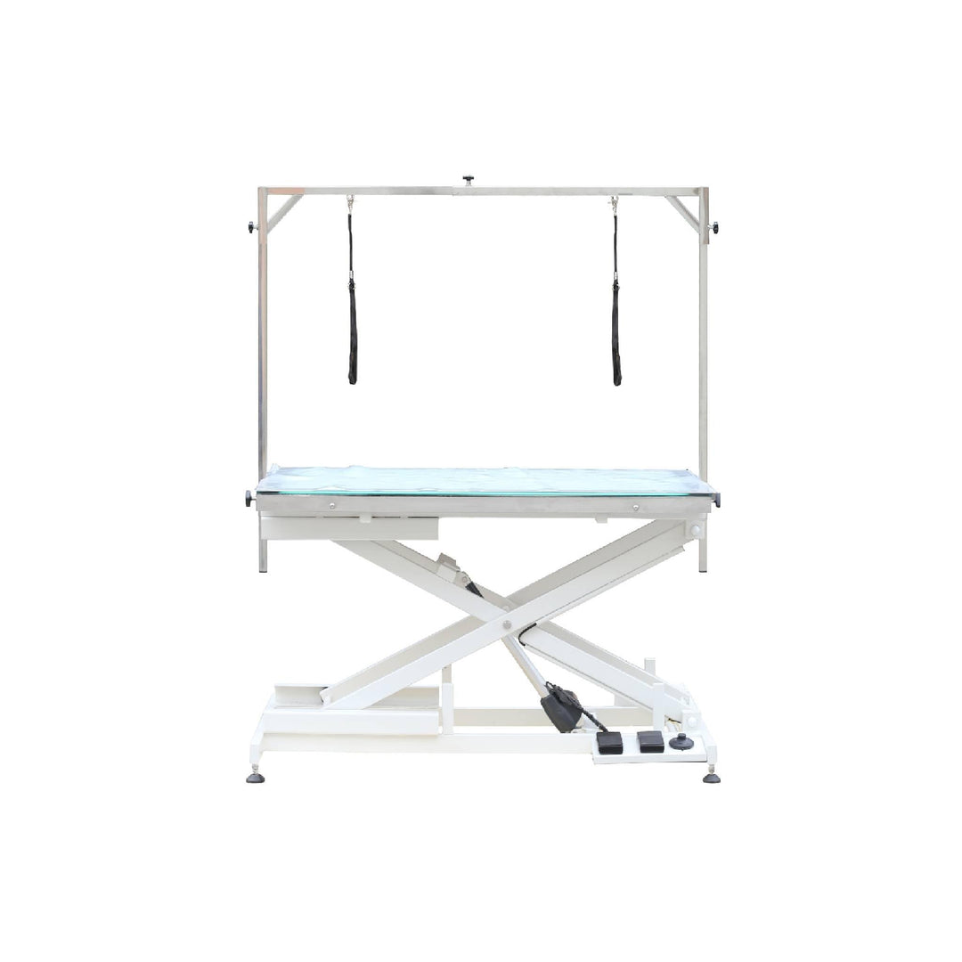 Aeolus Magna Electric Pet Grooming Table with LED Light