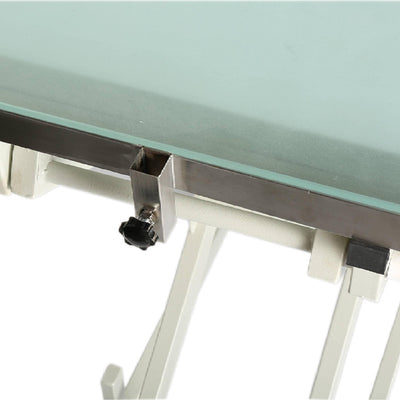 Aeolus Magna Electric Pet Grooming Table with LED Light