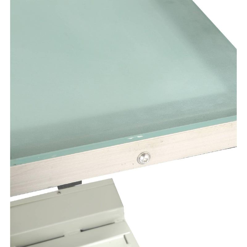 Aeolus Magna Electric Pet Grooming Table with LED Light
