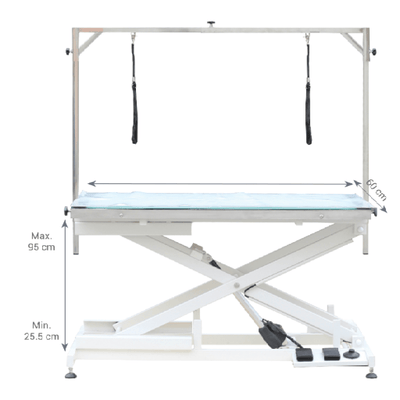 Aeolus Magna Electric Pet Grooming Table with LED Light
