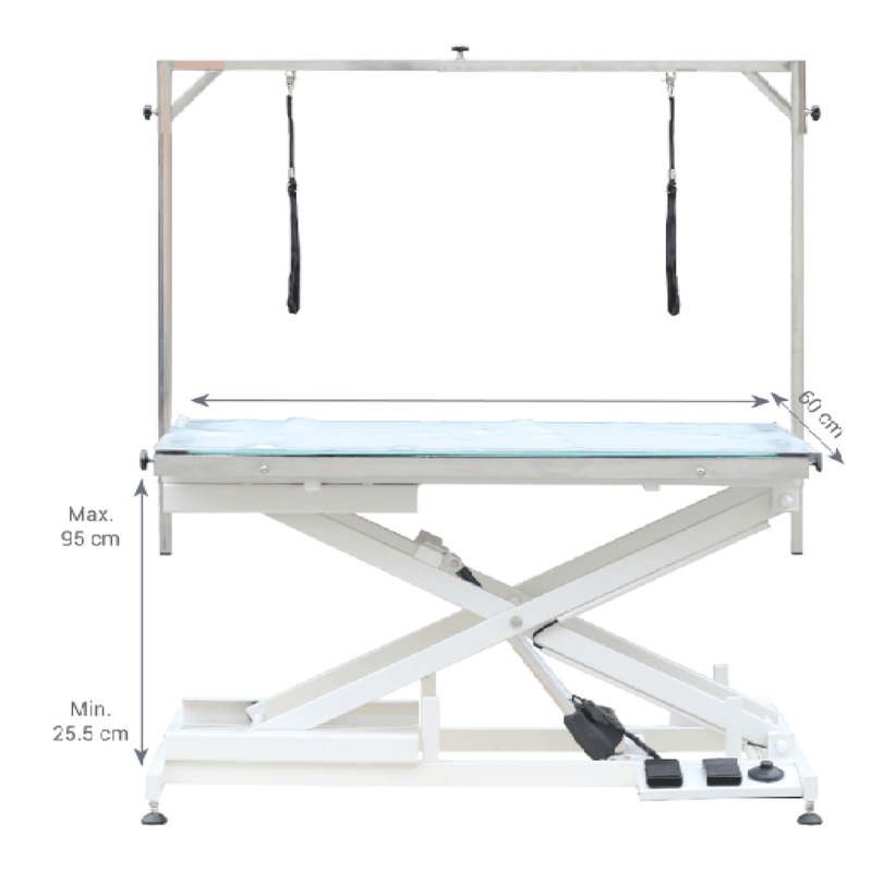 Aeolus Magna Electric Pet Grooming Table with LED Light