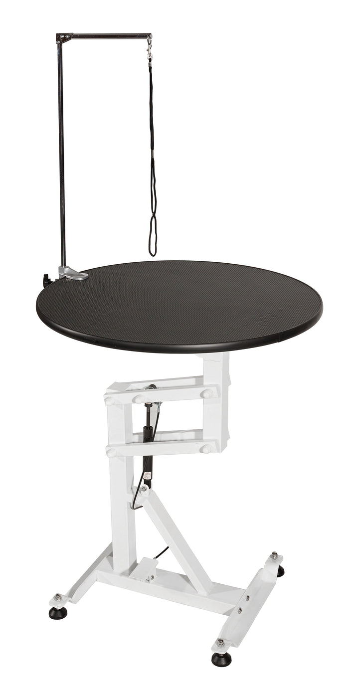 AEOLUS Flat Packing Air Lift Grooming Table, Large