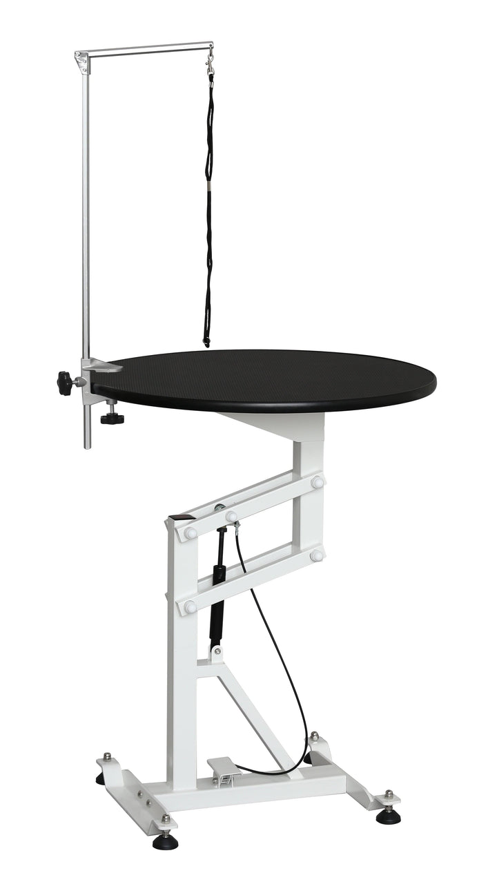 AEOLUS Flat Packing Air Lift Grooming Table, Large