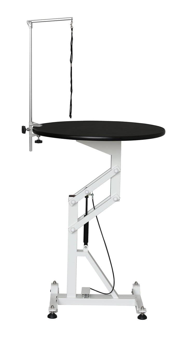 AEOLUS Flat Packing Air Lift Grooming Table, Large