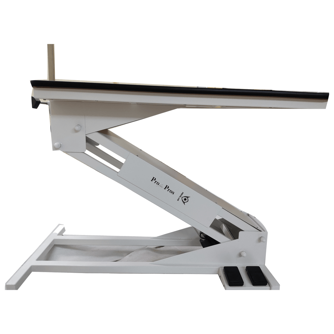 Aeolus Magna Big Z Electric Lifting Pet Grooming Table