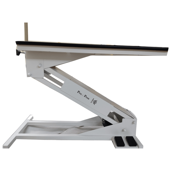 Aeolus Magna Big Z Electric Lifting Pet Grooming Table