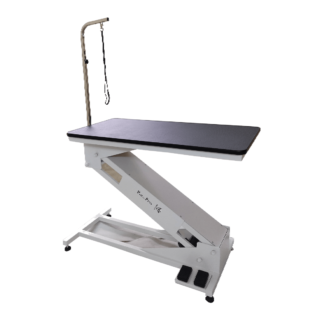 Aeolus Magna Big Z Electric Lifting Pet Grooming Table