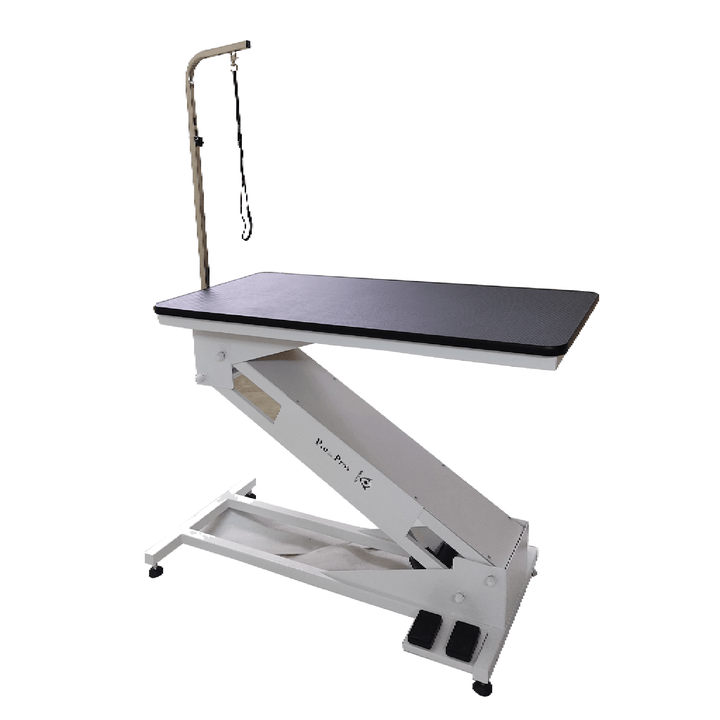 Aeolus Magna Big Z Electric Lifting Pet Grooming Table