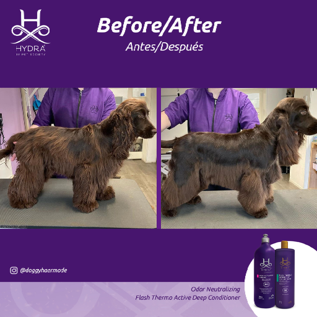 Hydra Porfessional Flash Active Deep Conditioner for Pets