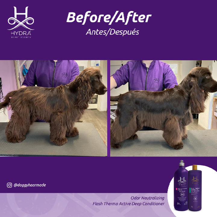 Hydra Porfessional Flash Active Deep Conditioner for Pets
