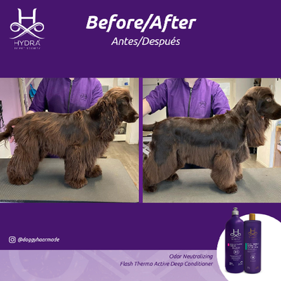 Hydra Porfessional Flash Active Deep Conditioner for Pets