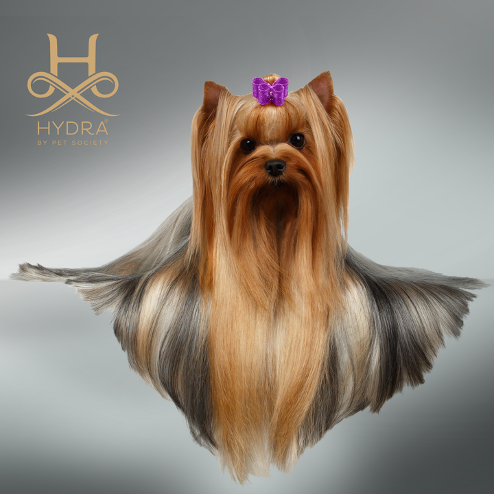 Hydra De - matting care