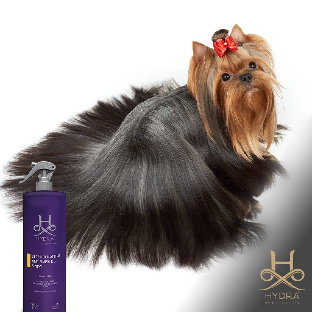 Buy Now Hydra Professional Ultra Dematting & Finishing Spray for Pets at abkgrooming.com