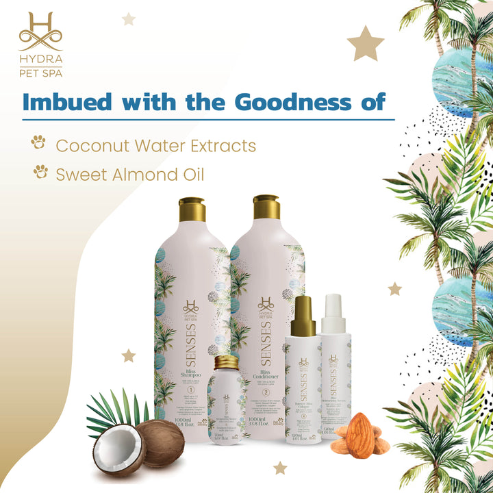 cheap shampoo, discount shampoo, gentle shampoo, daily shampoo, deep cleansing shampoo, nourishing shampoo, revitalizing shampoo, repairing shampoo, smoothing shampoo, frizz control shampoo, curl enhancing shampoo, texturizing shampoo, baby shampoo, kids shampoo, pet shampoo, flea shampoo, whitening shampoo, brightening shampoo, odor eliminating shampoo, waterless shampoo, dry shampoo, shampoo bar, pet shampoo, dog shampoo, cat shampoo
