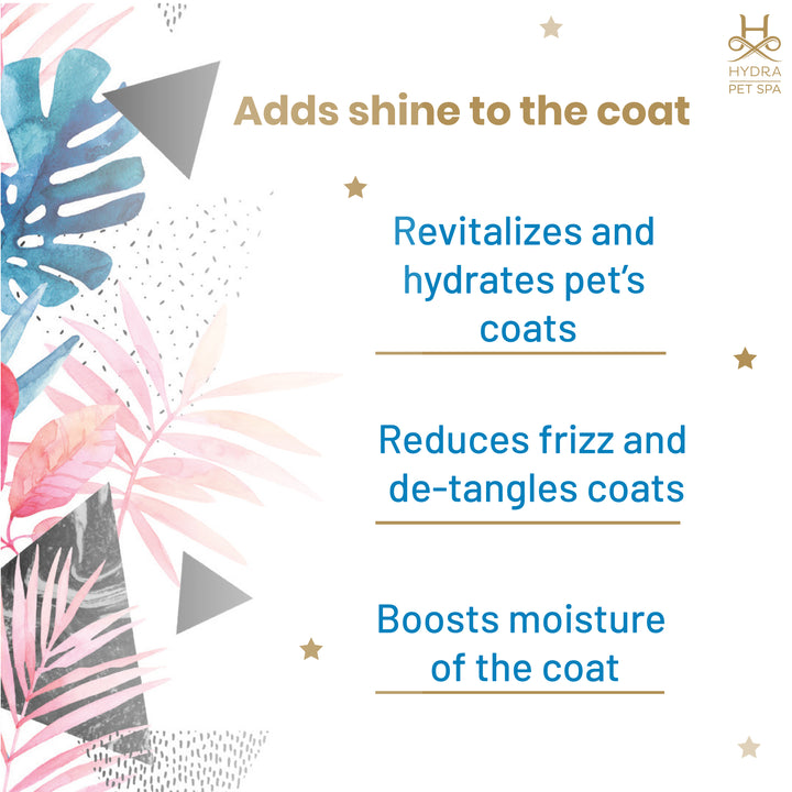 anti-itch pet shampoo, hot spot shampoo for pets, conditioning pet shampoo, gentle pet shampoo, vet recommended pet shampoo, grooming shampoo for pets, professional pet shampoo, cheap pet shampoo, discount pet shampoo, scented pet shampoo, unscented pet shampoo, pet bath products, pet grooming supplies, animal shampoo, canine shampoo, feline shampoo, small animal grooming, bird bath cleaner