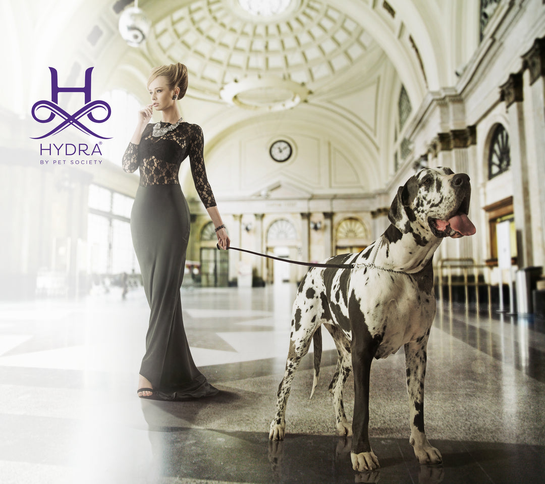 Hydra De - matting care