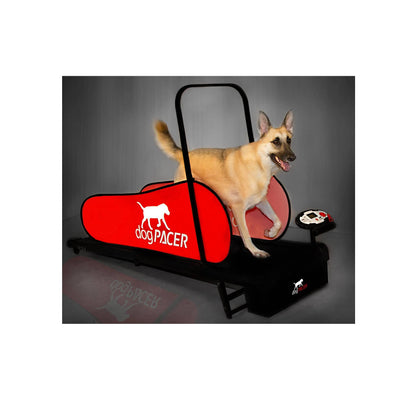 Dogpacer Tredmill - abkgrooming