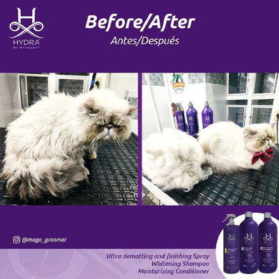 Hydra Professional Moisturizing Condition  best price at abkgrooming.com  