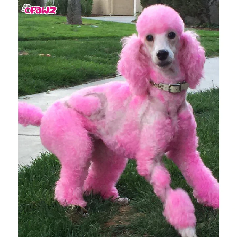 Opawz Permanent Pet Hair Dye
