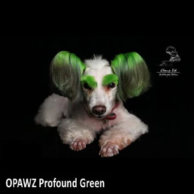Opawz Permanent Pet Hair Dye