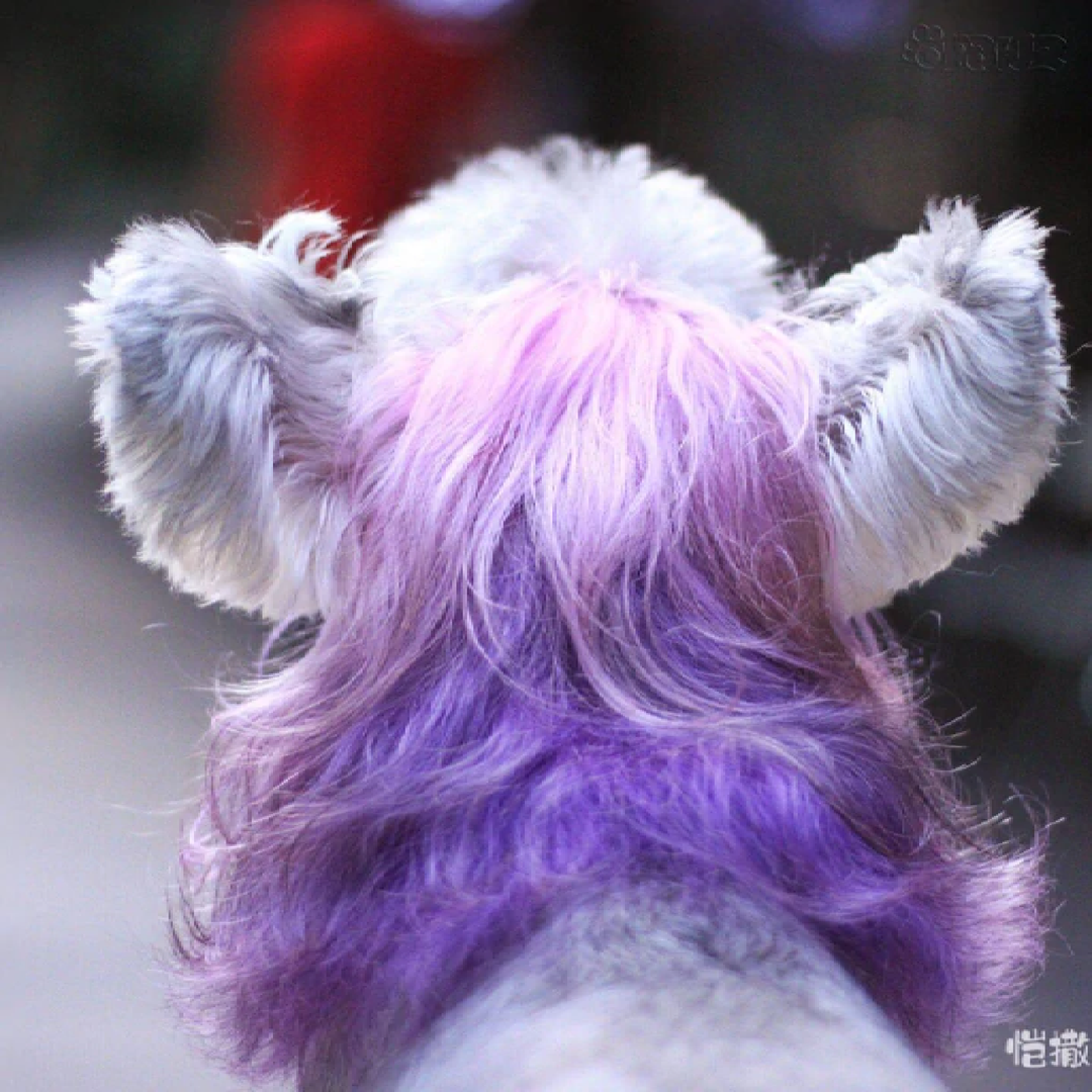 Opawz Semi Permanent Hair Dye