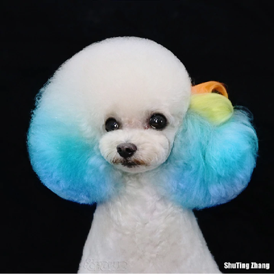 Opawz Semi Permanent Hair Dye