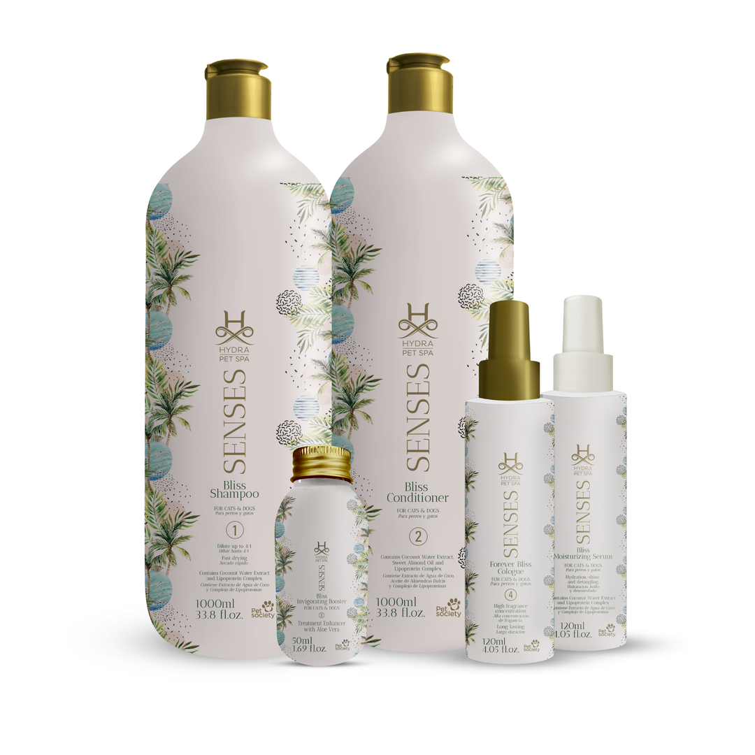 clarifying shampoo, volumizing shampoo, strengthening shampoo, color-safe shampoo, shampoo for oily hair, shampoo for dry hair, shampoo for fine hair, shampoo for thick hair, shampoo for damaged hair, anti-dandruff shampoo, itchy scalp shampoo, sensitive scalp shampoo, hypoallergenic shampoo, medicated shampoo, professional shampoo, salon shampoo, cheap shampoo, discount shampoo, gentle shampoo, daily shampoo, deep cleansing shampoo