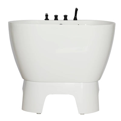 Acrylic Dog Bathing Tub with Faucet and Sprayer Kit - ABK Grooming