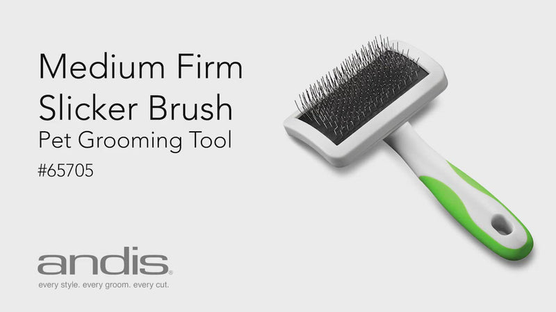 best professional dog and car grooming brushes	20