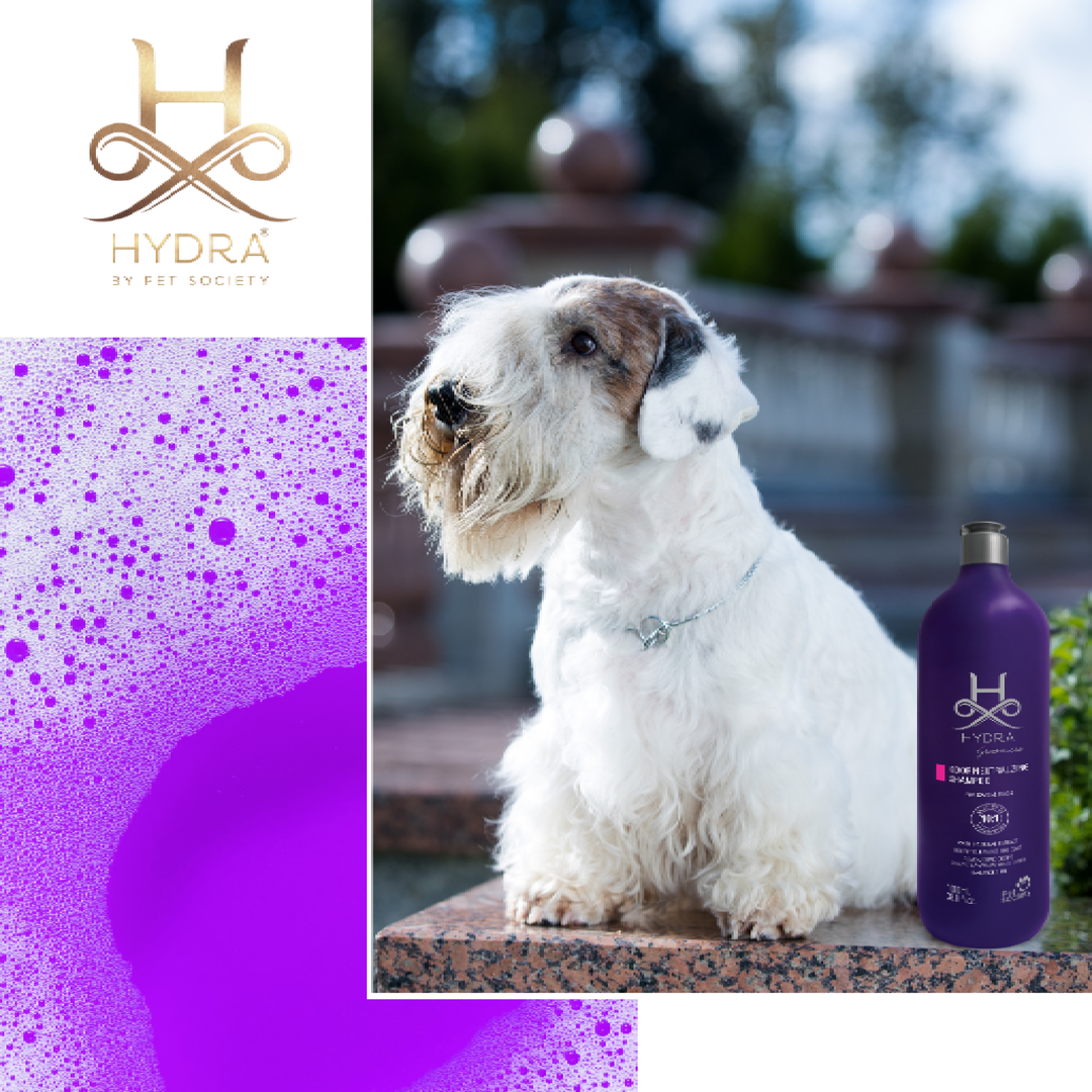 Hydra Profesional Odour Neutralizing Pet Shampoo