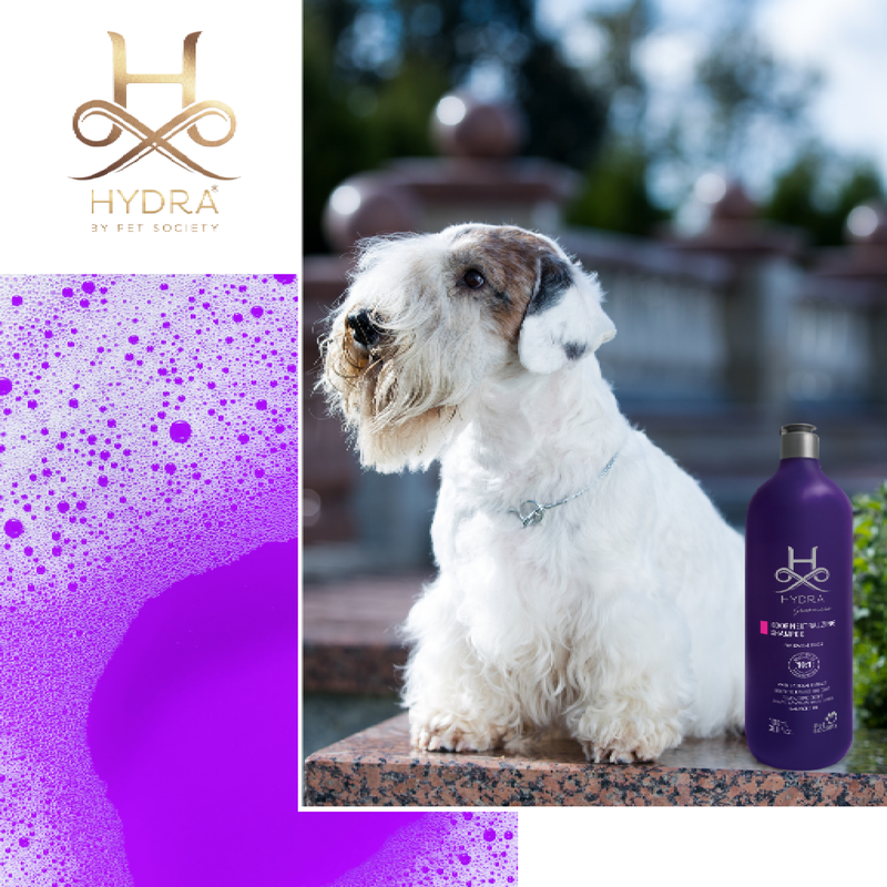 Hydra Professional Odor Neutralizing Pet Shampoo, 5 litre