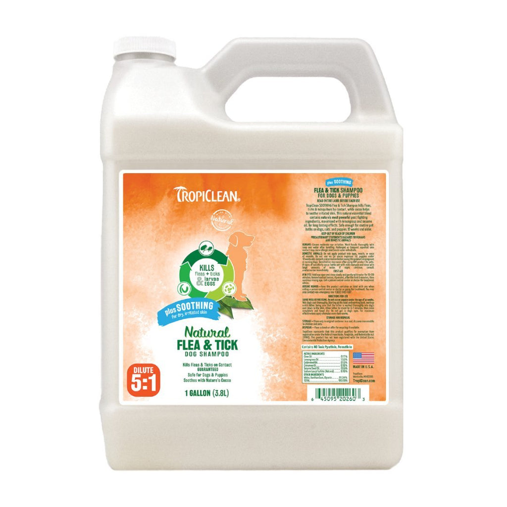 Natural flea and tick shampoo for dogs top