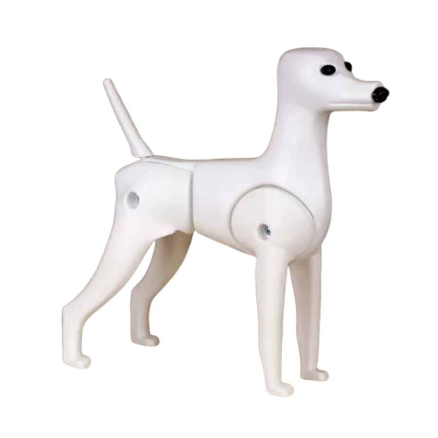 Opawz Model Dog - ABK Grooming Model Dog Grooming,Model Dogs For Grooming Practice,Dog Grooming Practice Model,Dog Grooming Tools, Grooming Tool, Pet Tools, Dogs Tools, Dog Grooming Tools, Grooming Tool, Pet Tools, Dogs Tools, Pet Groomer Tools, Pet Bathing Tools, Dog Hair Cutting Tools, Dog Hair Grooming Tools, Pet Grooming Tools For Sale,