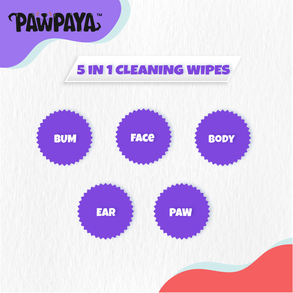 Pawpaya Pet Wipes Made for All Cats and Dogs | 40 Pull Pack