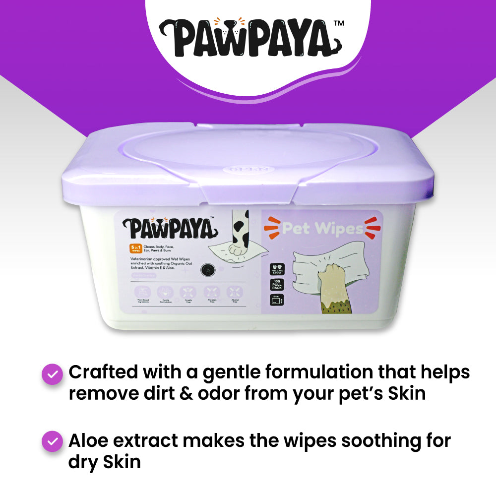 Pawpaya Pet Wipes Made for All Cats and Dogs | 100 Pack Tub