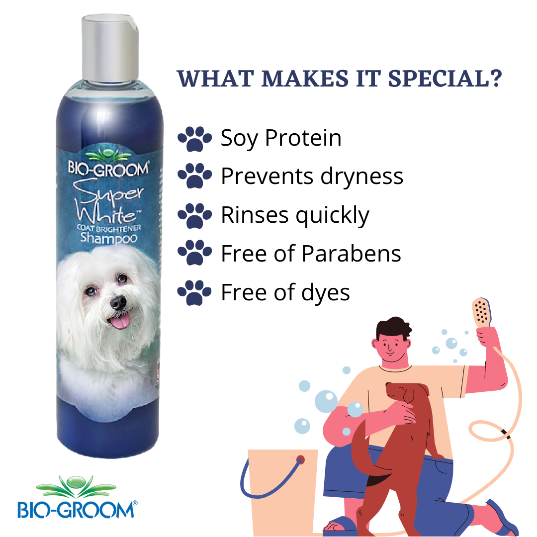 Bio Groom Super White Shampoo Shampoo For White Dogs Grooming