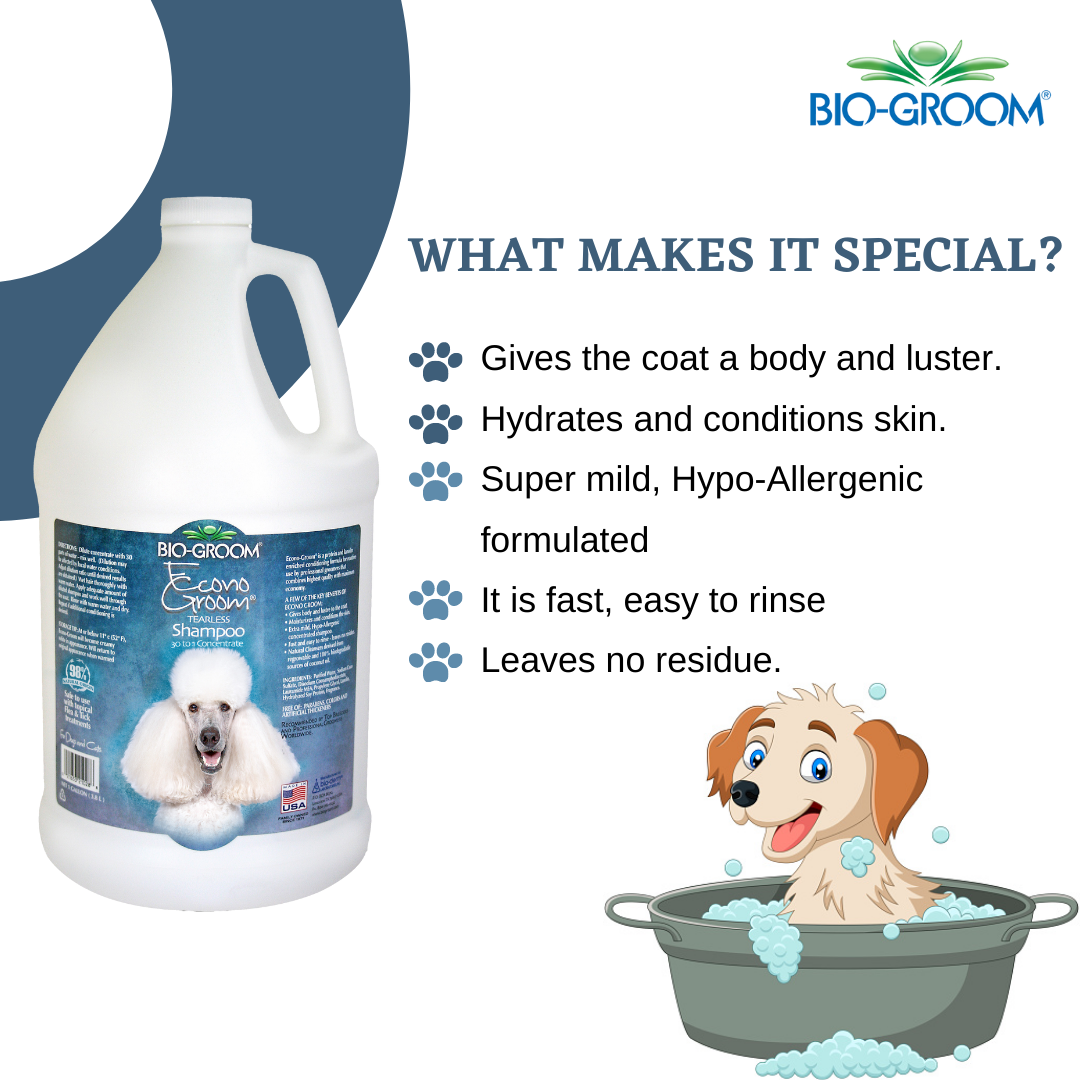 Biogroom Econo Groom Tearless Shampoo for Cats and Dogs